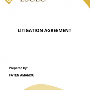 LITIGATION AGREEMENT