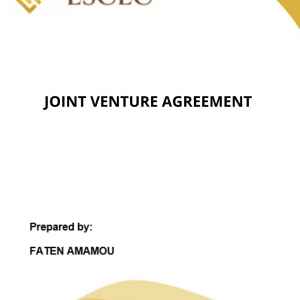 JOINT VENTURE AGREEMENT